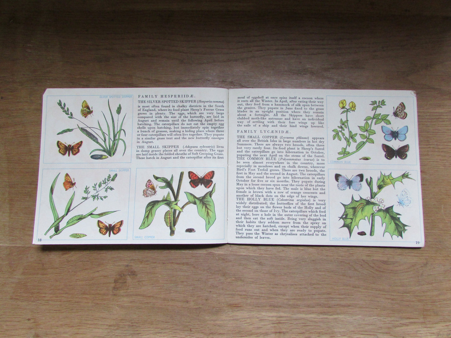 Butterflies in Britain, by Richard Chopping (Hardback, 1940s)