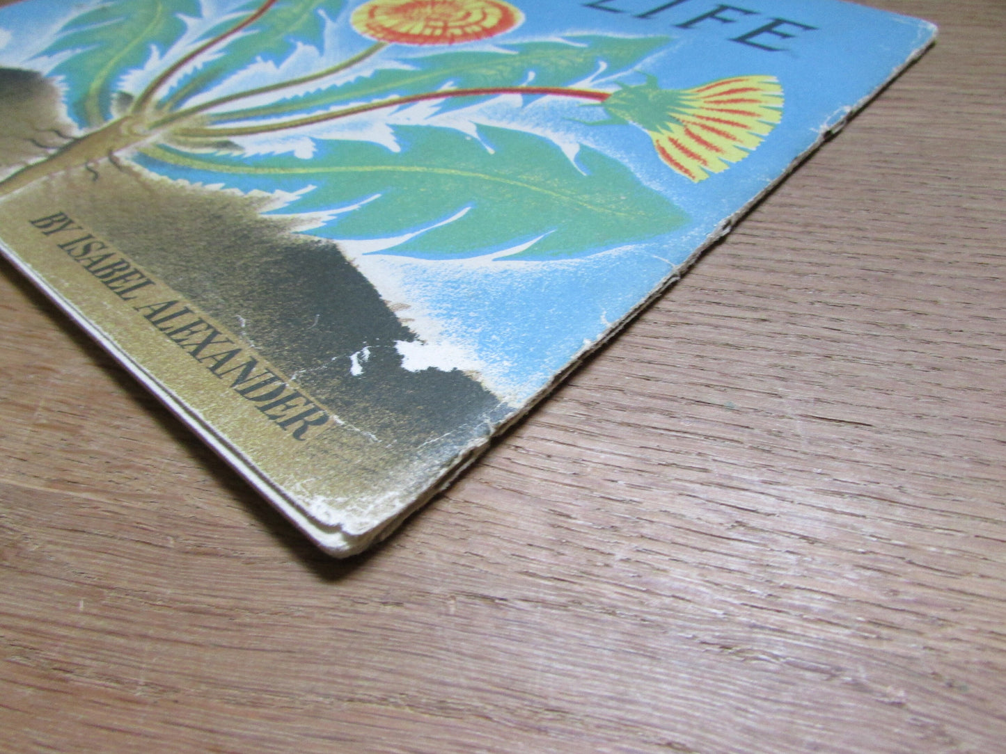 The Story of Plant Life, by Isabel Alexander (Softback, 1946)