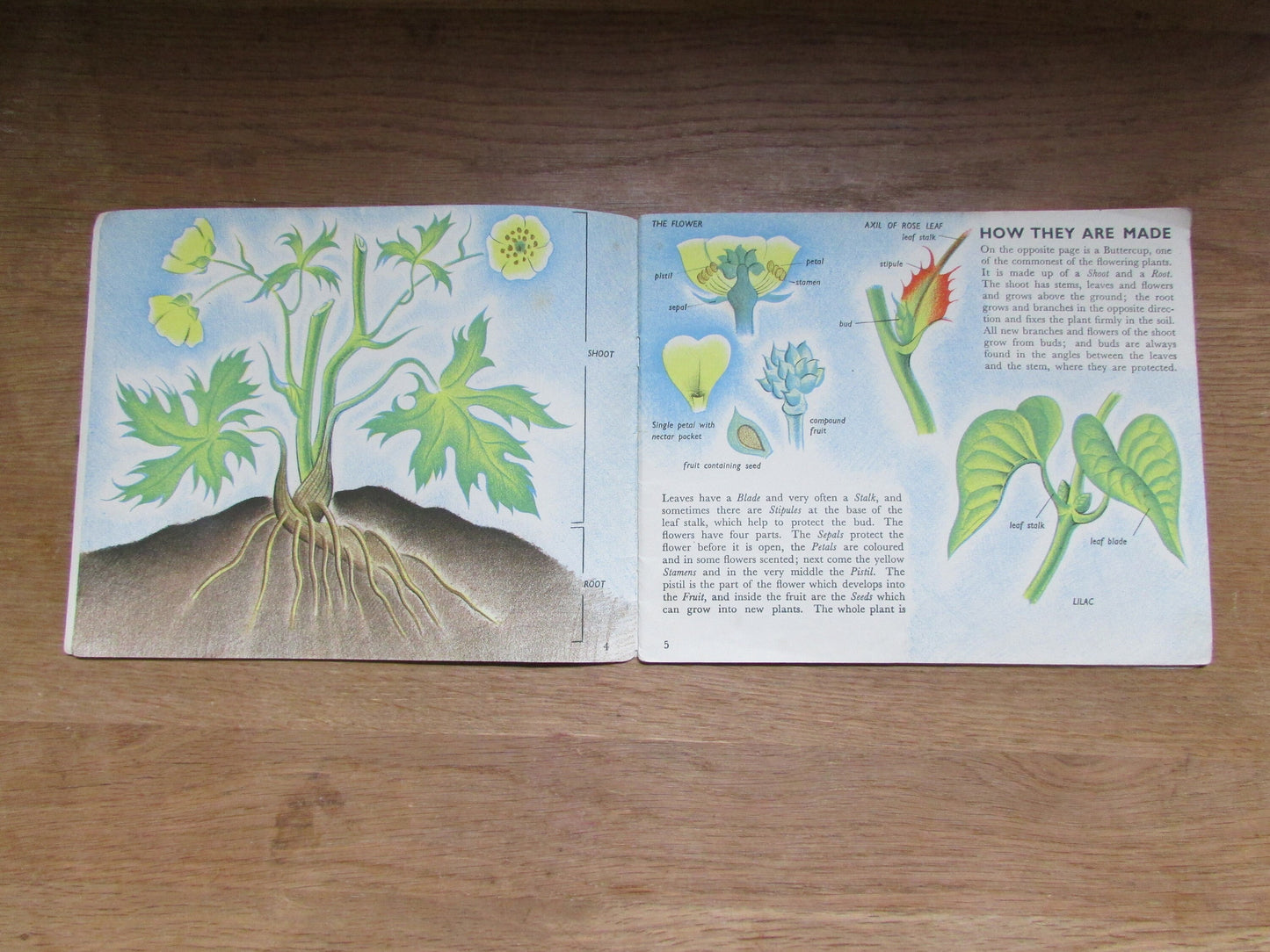 The Story of Plant Life, by Isabel Alexander (Softback, 1946)