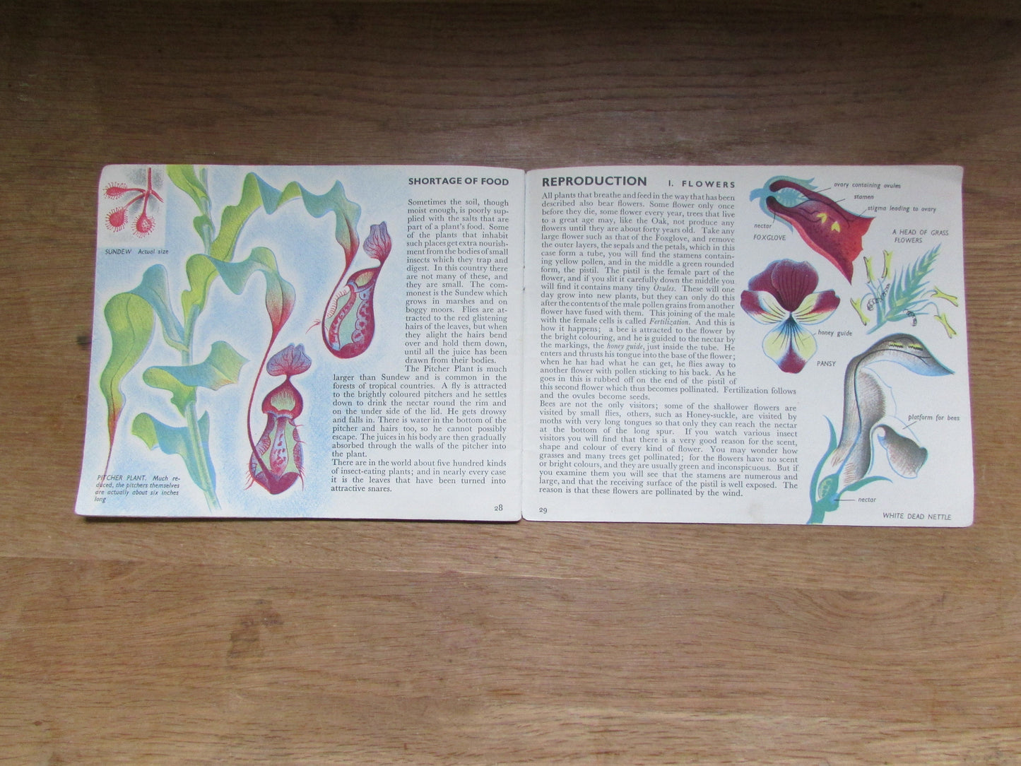 The Story of Plant Life, by Isabel Alexander (Softback, 1946)