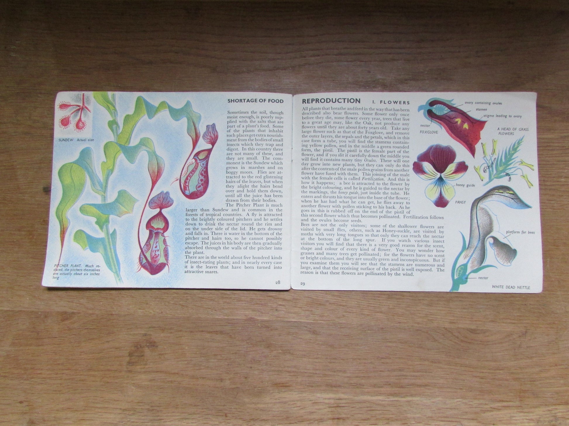 The Story of Plant Life, by Isabel Alexander (Softback, 1946)