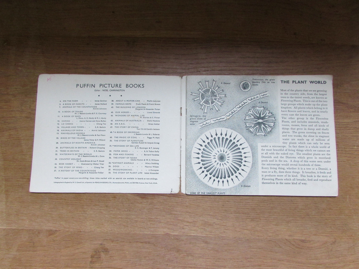 The Story of Plant Life, by Isabel Alexander (Softback, 1946)