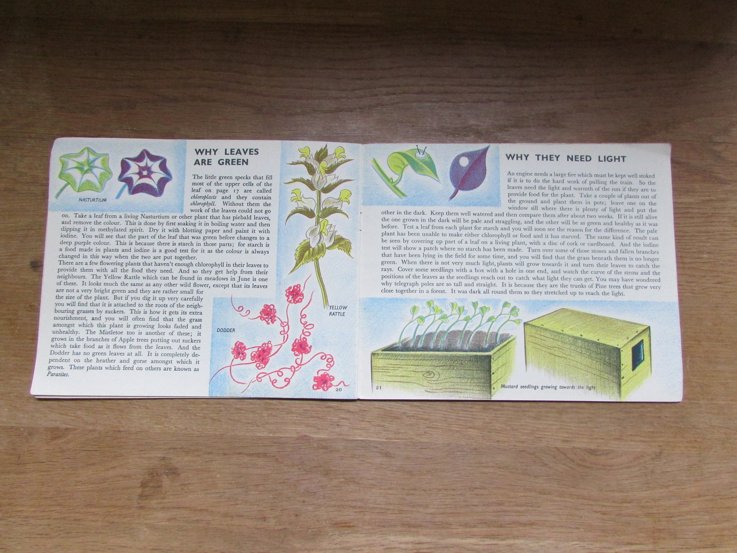 The Story of Plant Life, by Isabel Alexander (Softback, 1946)