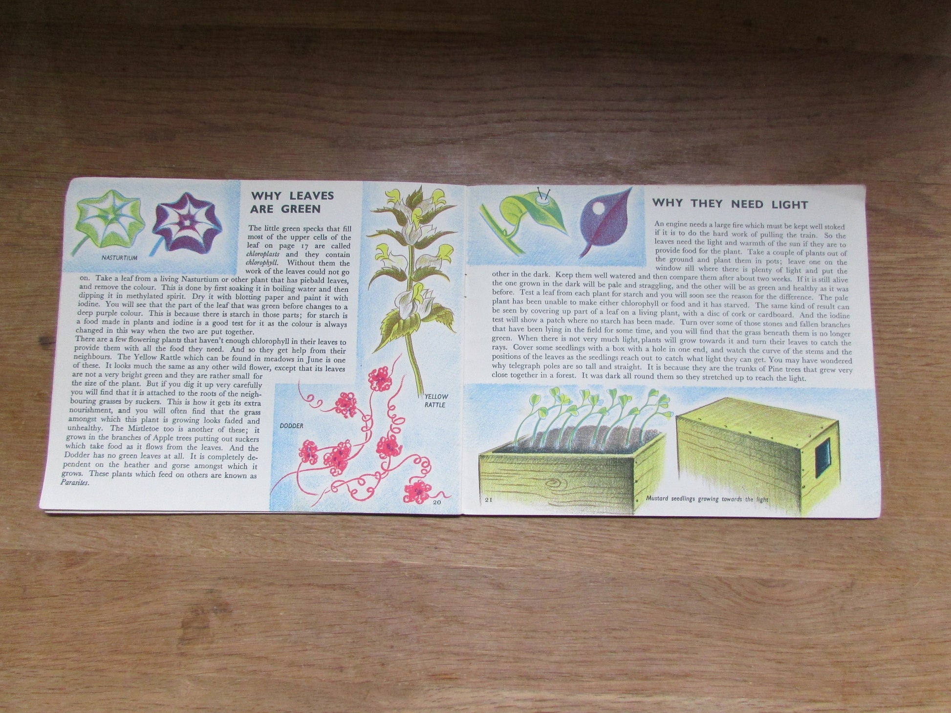 The Story of Plant Life, by Isabel Alexander (Softback, 1946)