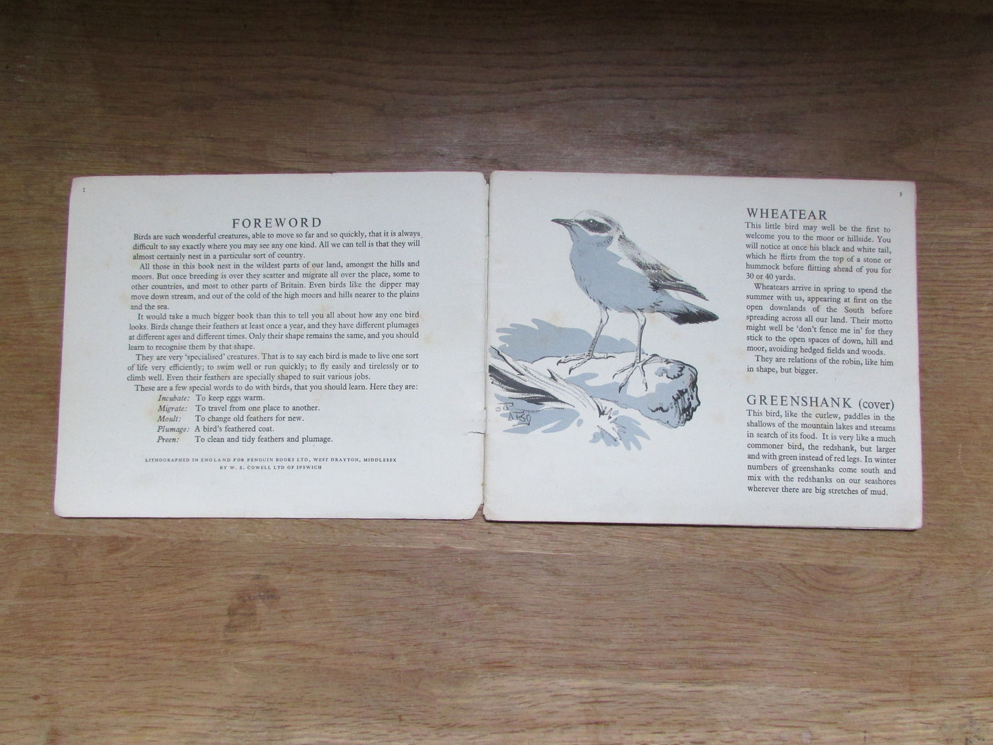 Mountain and Moorland Birds, by R. B Talbot Kelly (Softback, 1940s)