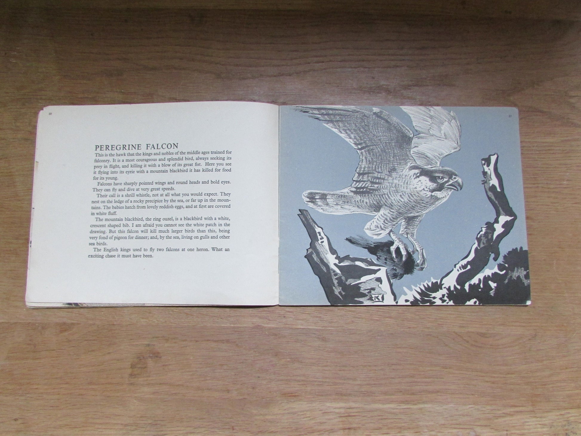Mountain and Moorland Birds, by R. B Talbot Kelly (Softback, 1940s)