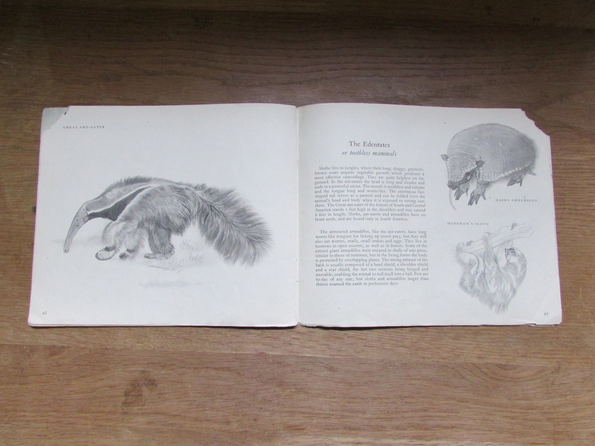 Zoo Animals, by E.G Boulenger (Softback, 1948)
