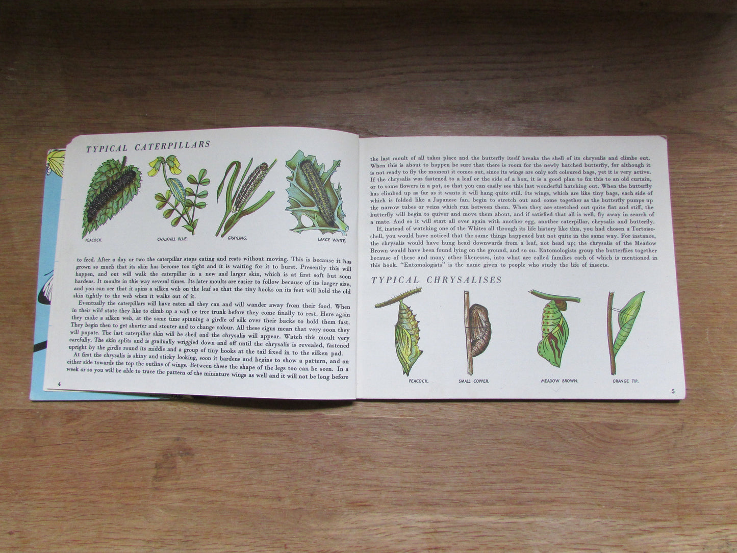 Butterflies in Britain, by Richard Chopping (Hardback, 1940s)