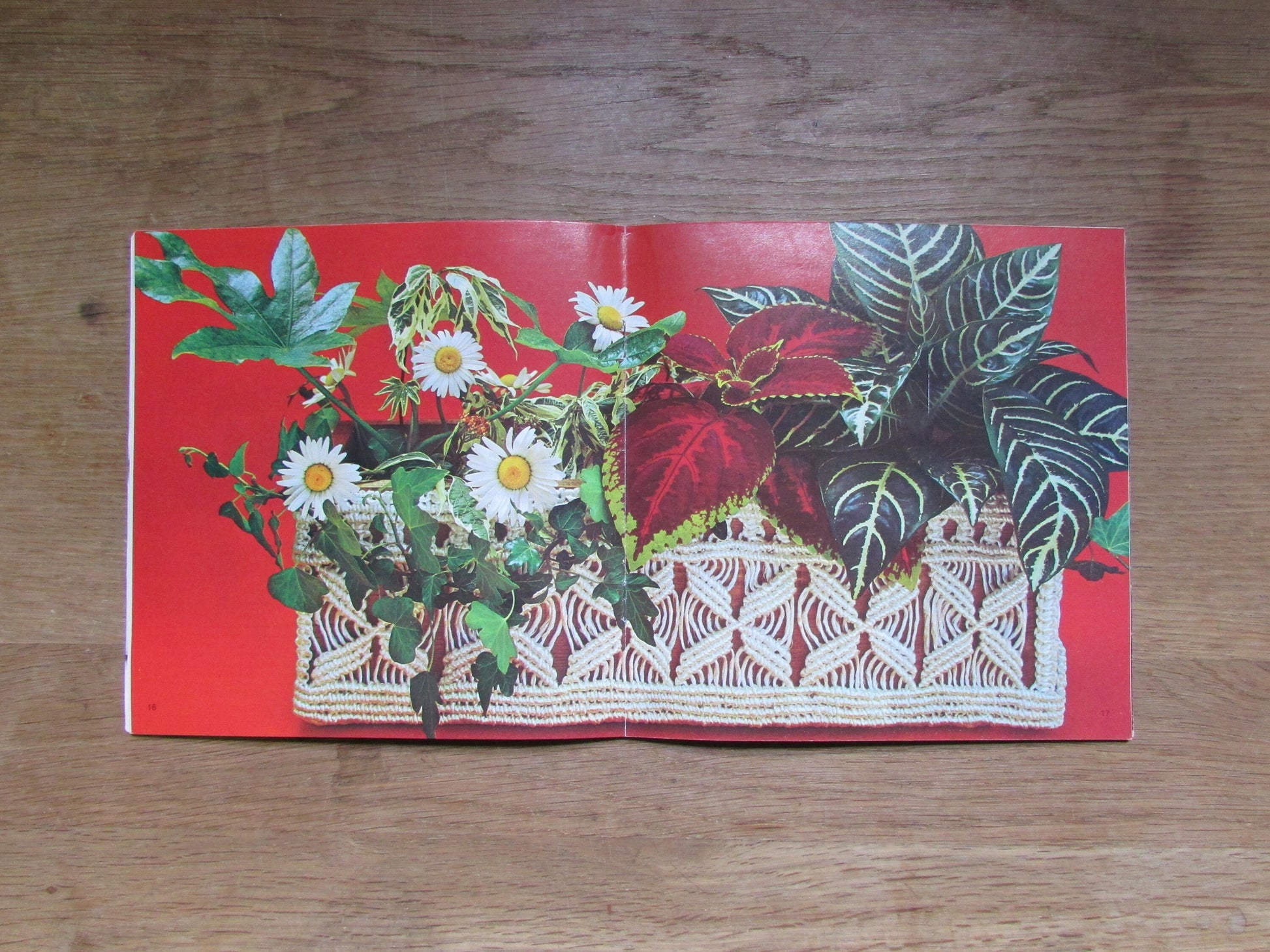 Leisure Crafts No.35: Macramé 1, by Kit Pyman (Softback, 1975)