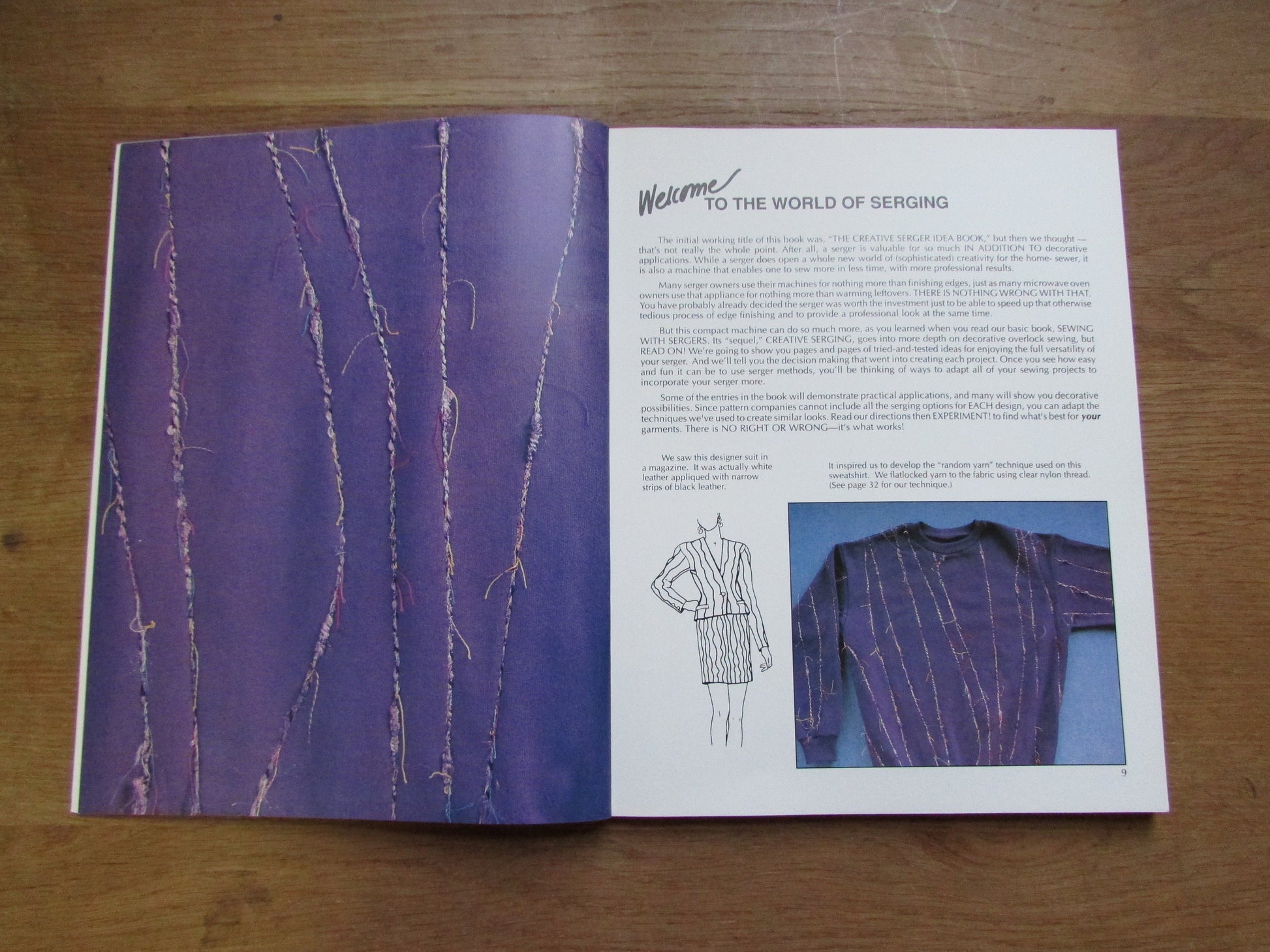 The Serger Idea Book: a collection of inspiring ideas from Palmer/Pletsch, by Ann Hesse Price (Softback, 1991)