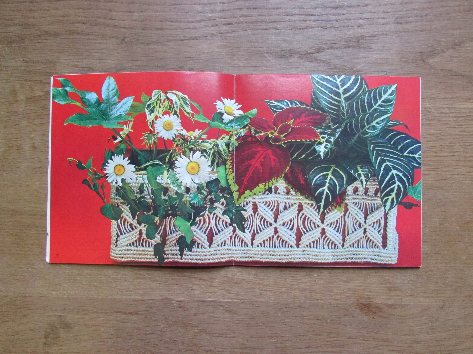 Leisure Crafts No.35: Macramé 1, by Kit Pyman (Softback, 1975)