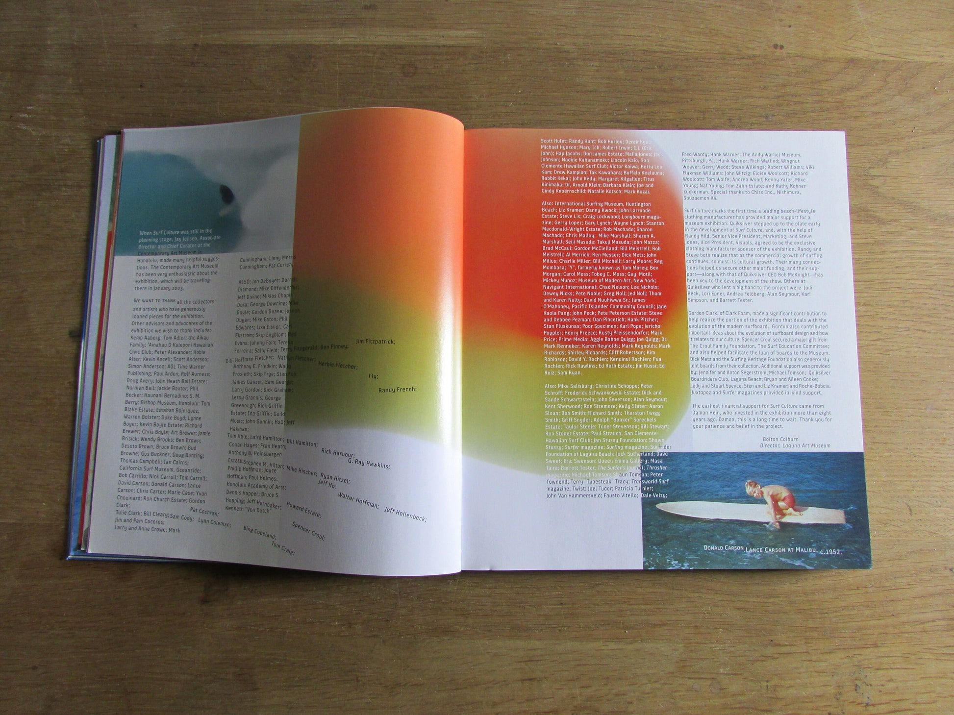Surf Culture: The Art History of Surfing, by Craig Stecyk & David Carson (Softback, 2002)
