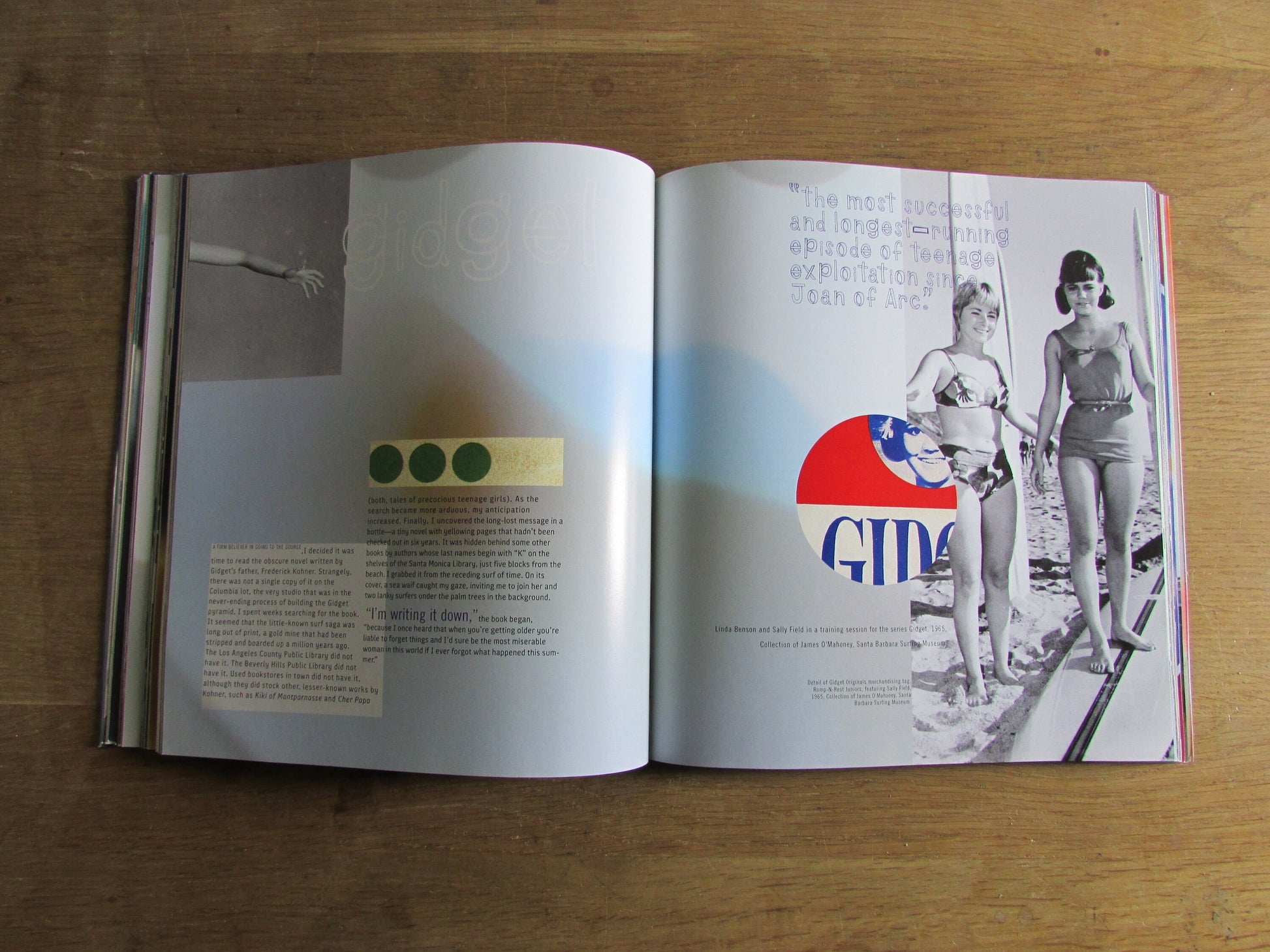 Surf Culture: The Art History of Surfing, by Craig Stecyk & David Carson (Softback, 2002)