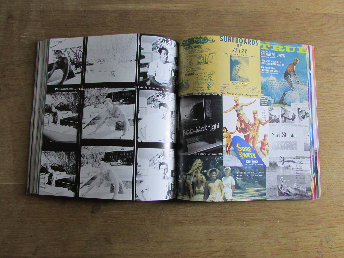 Surf Culture: The Art History of Surfing, by Craig Stecyk & David Carson (Softback, 2002)