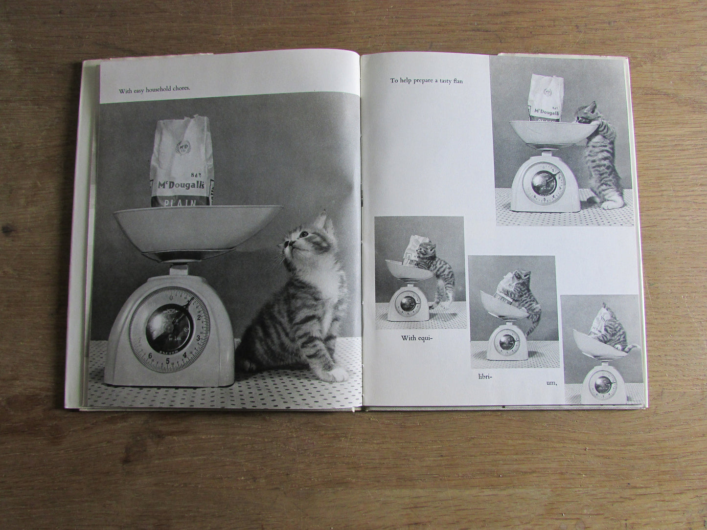 Kittens on The Keys, by Ron Spillman & Jack Ramsay (Hardback, 1961)