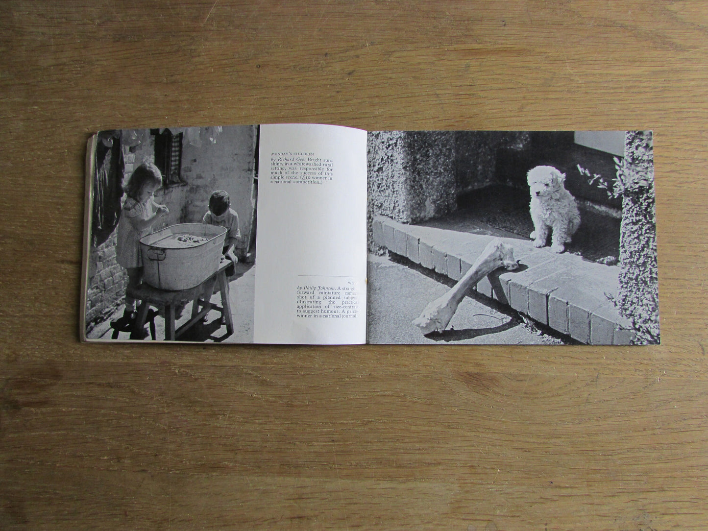 How to Win Photo Competitions, by Richard Gee (Softback, 1956)