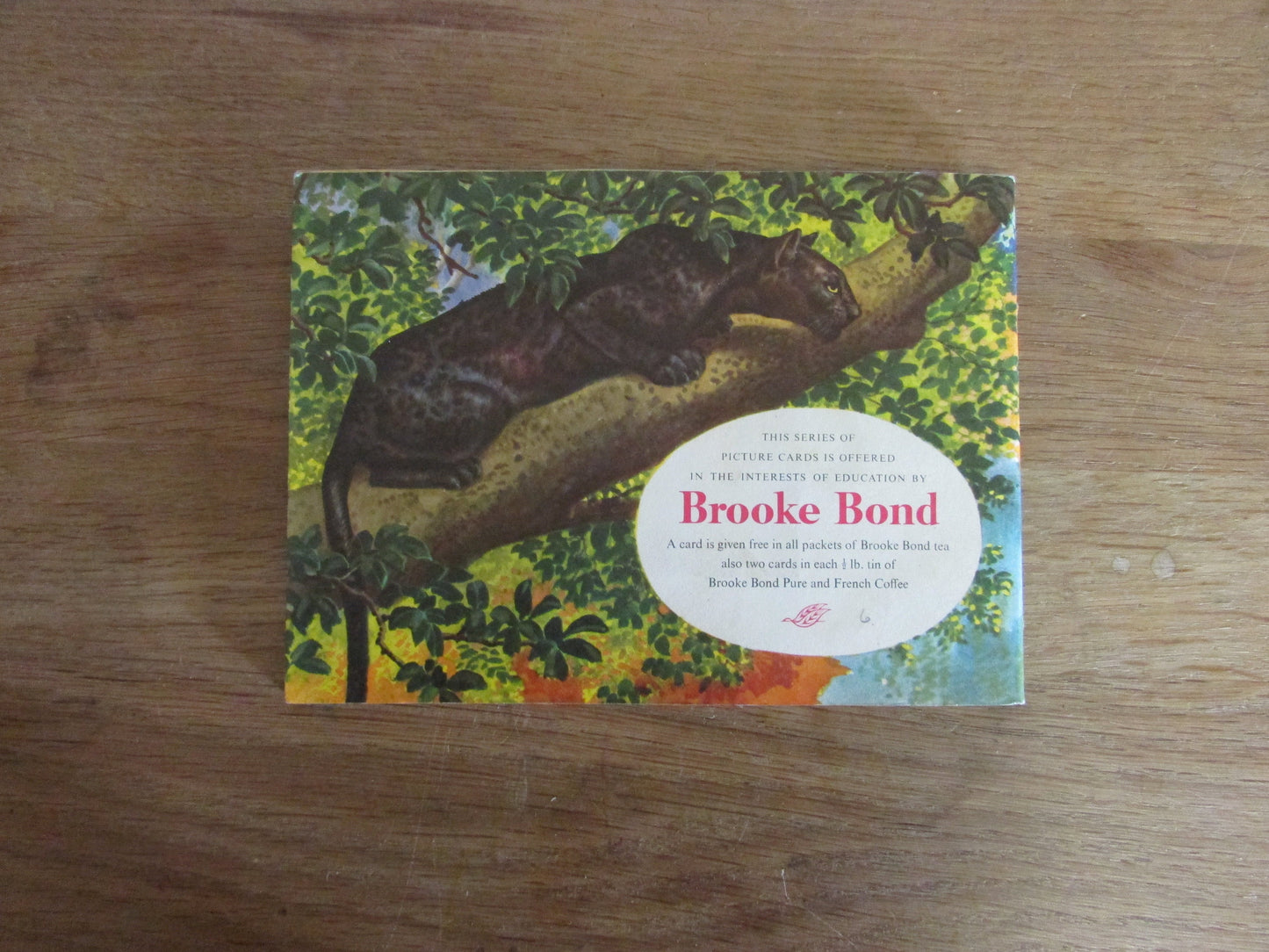 1962 Brooke Bond picture cards: African Wildlife, illustrated by C. F. Tunnicliffe