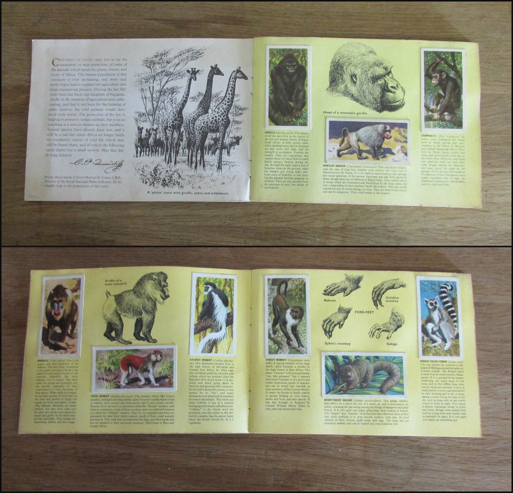 1962 Brooke Bond picture cards: African Wildlife, illustrated by C. F. Tunnicliffe