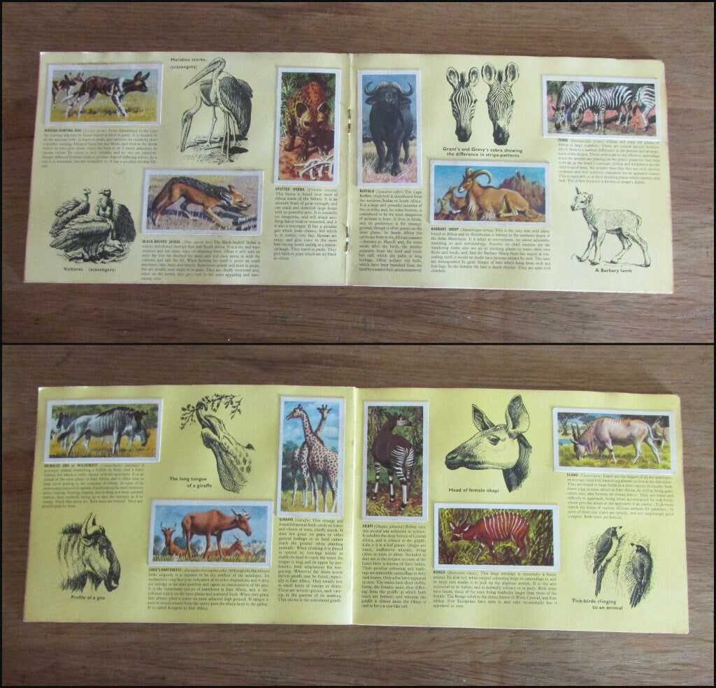 1962 Brooke Bond picture cards: African Wildlife, illustrated by C. F. Tunnicliffe
