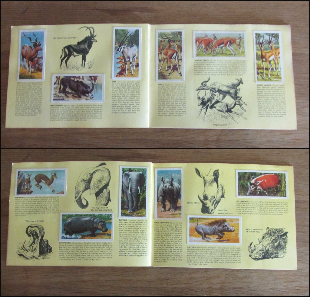 1962 Brooke Bond picture cards: African Wildlife, illustrated by C. F. Tunnicliffe