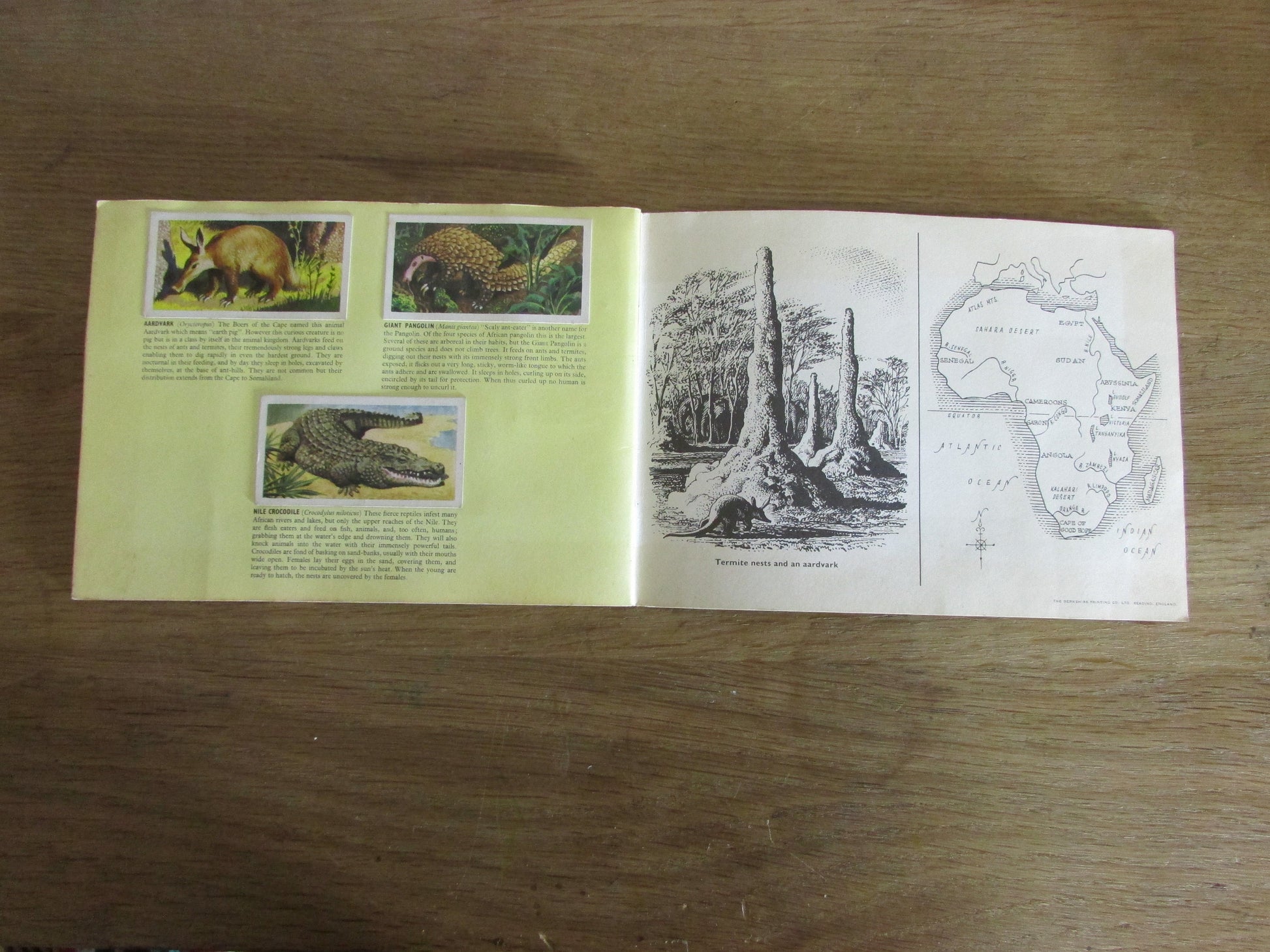 1962 Brooke Bond picture cards: African Wildlife, illustrated by C. F. Tunnicliffe