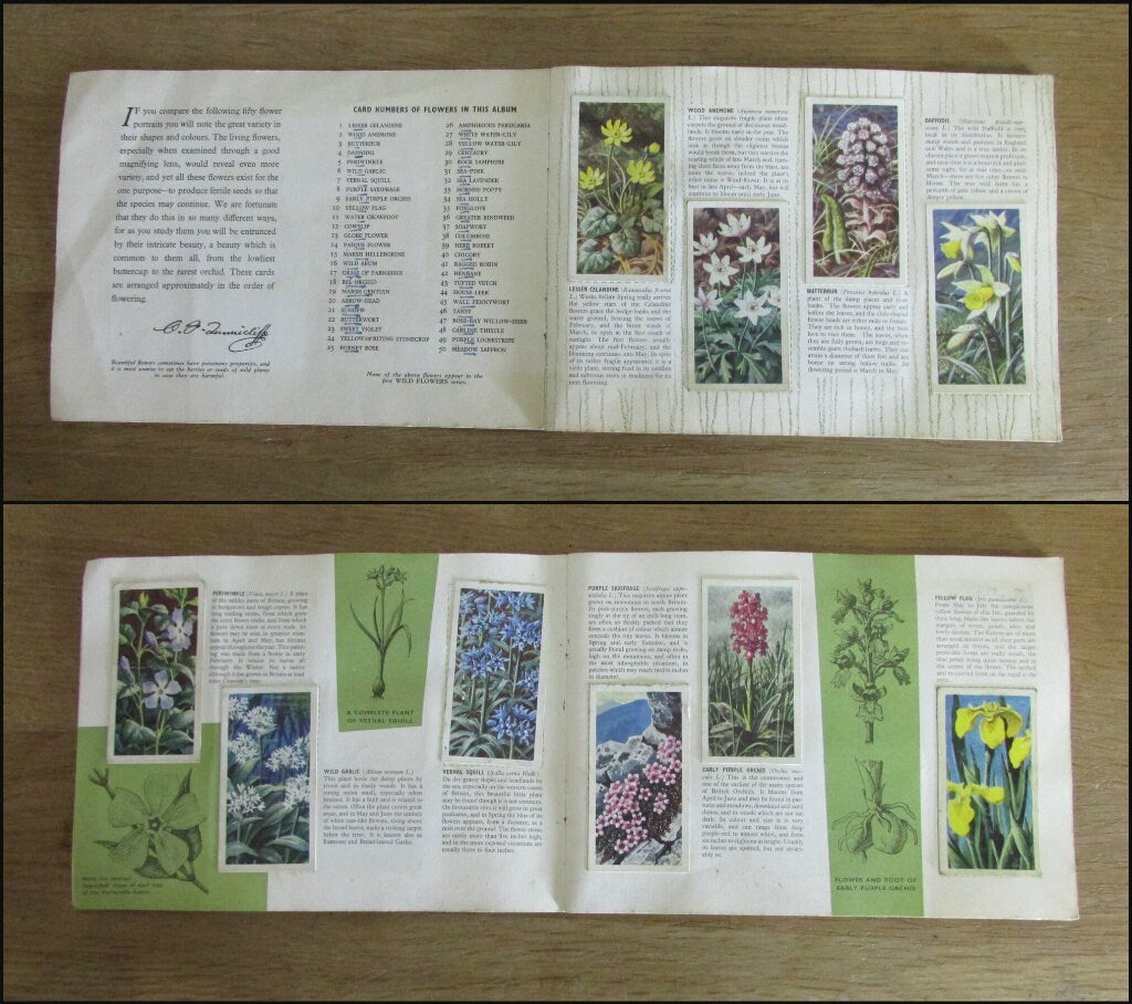 1959 Brooke Bond picture cards: Album for Wild Flowers Series 2, illustrated by C. F. Tunnicliffe (incomplete)