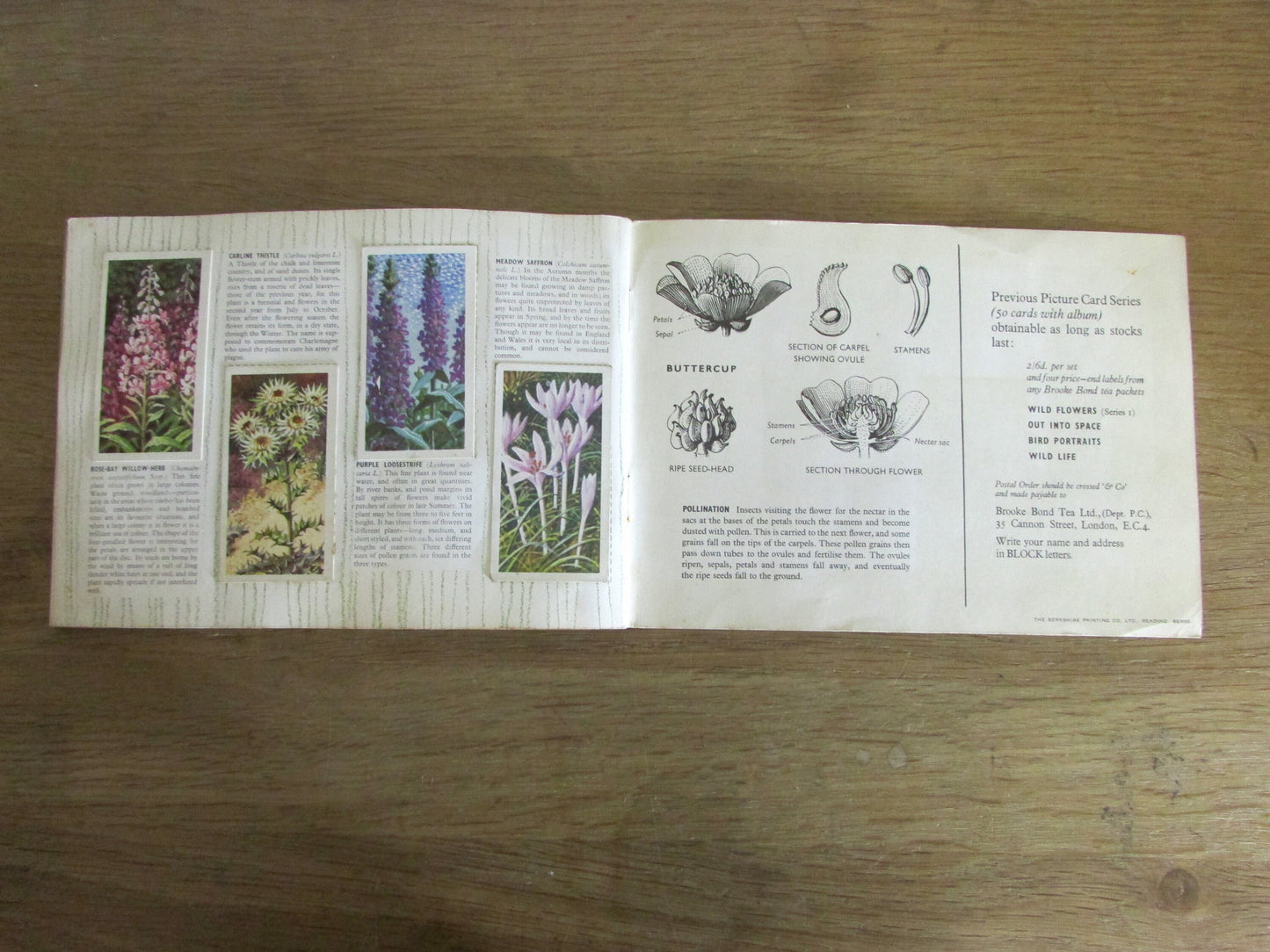 1959 Brooke Bond picture cards: Album for Wild Flowers Series 2, illustrated by C. F. Tunnicliffe (incomplete)