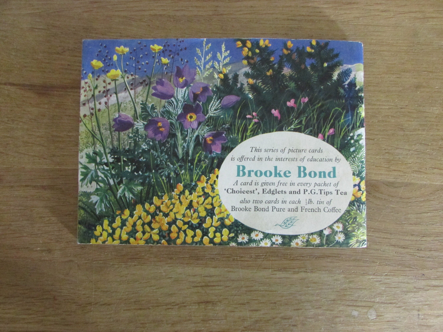 1959 Brooke Bond picture cards: Album for Wild Flowers Series 2, illustrated by C. F. Tunnicliffe (incomplete)