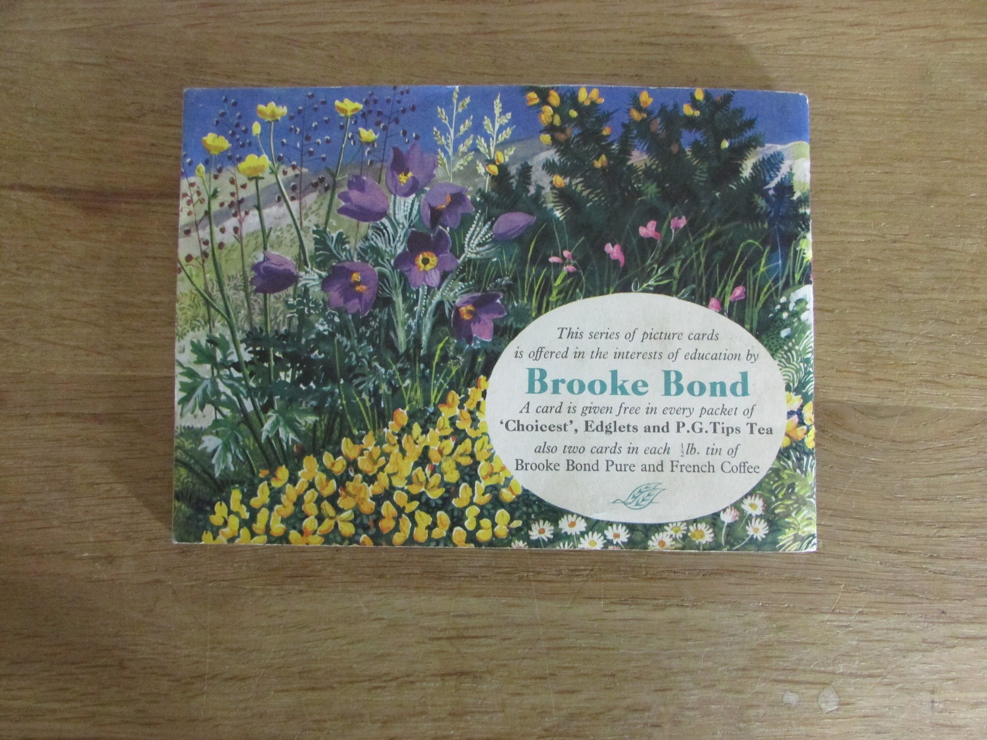 1959 Brooke Bond picture cards: Album for Wild Flowers Series 2, illustrated by C. F. Tunnicliffe (incomplete)
