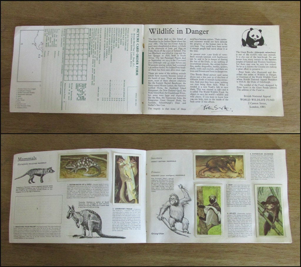 1960s Brooke Bond picture cards: Wildlife in Danger, by Peter Scott (incomplete)