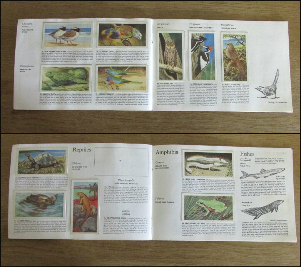 1960s Brooke Bond picture cards: Wildlife in Danger, by Peter Scott (incomplete)