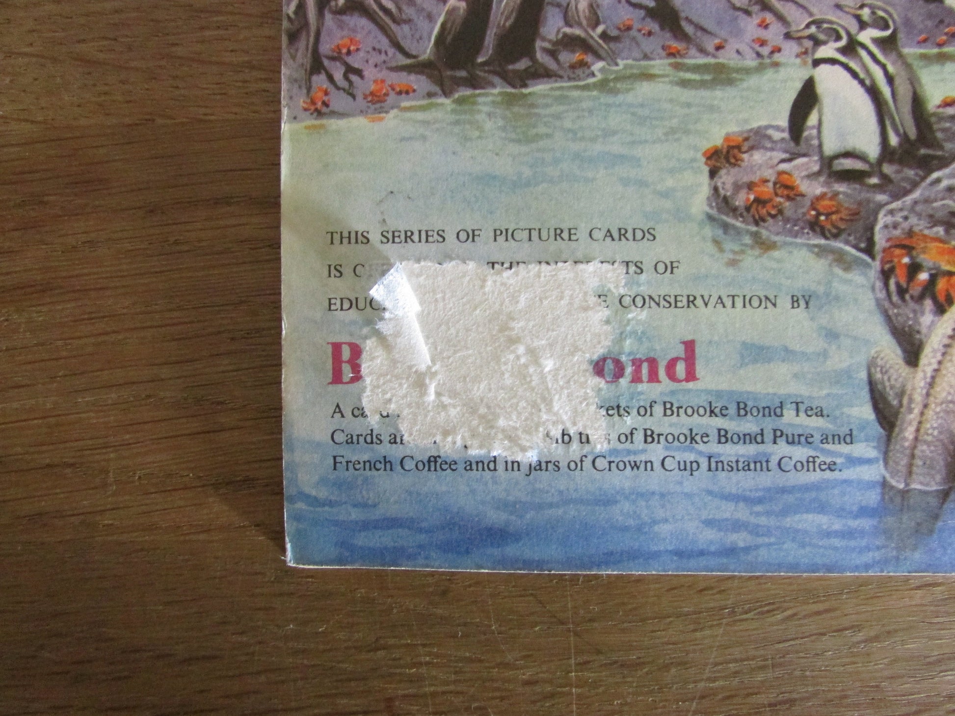 1960s Brooke Bond picture cards: Wildlife in Danger, by Peter Scott (incomplete)