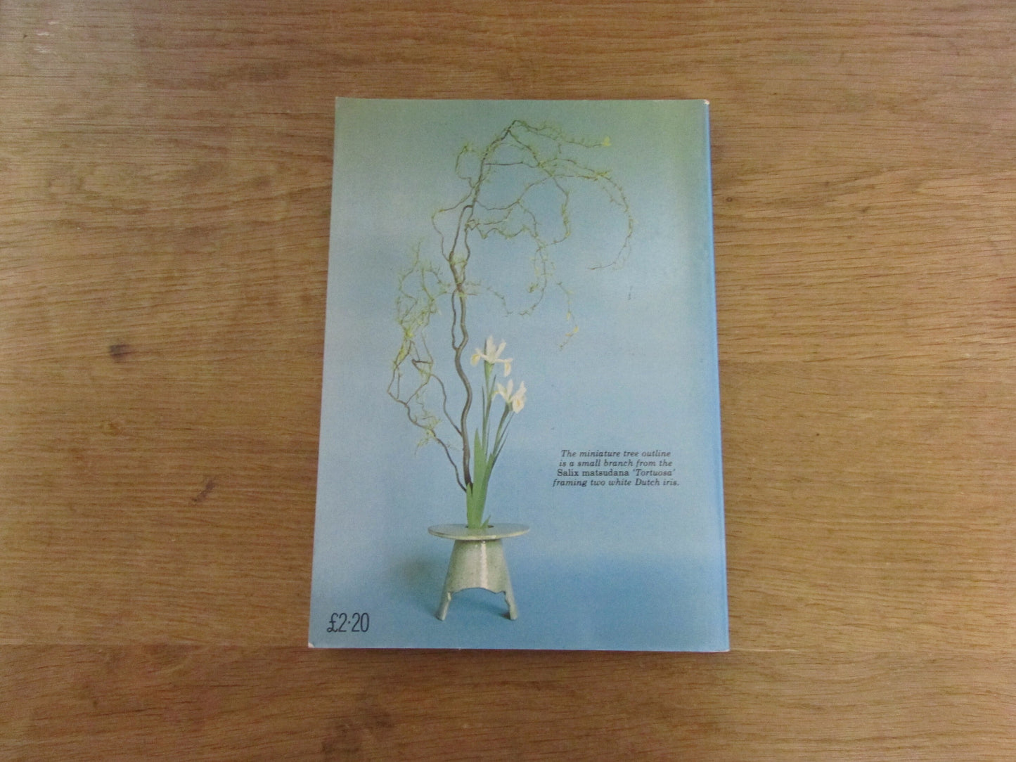 Flower Arrangement Free Style, by Edith Brack (Softback, 1977)