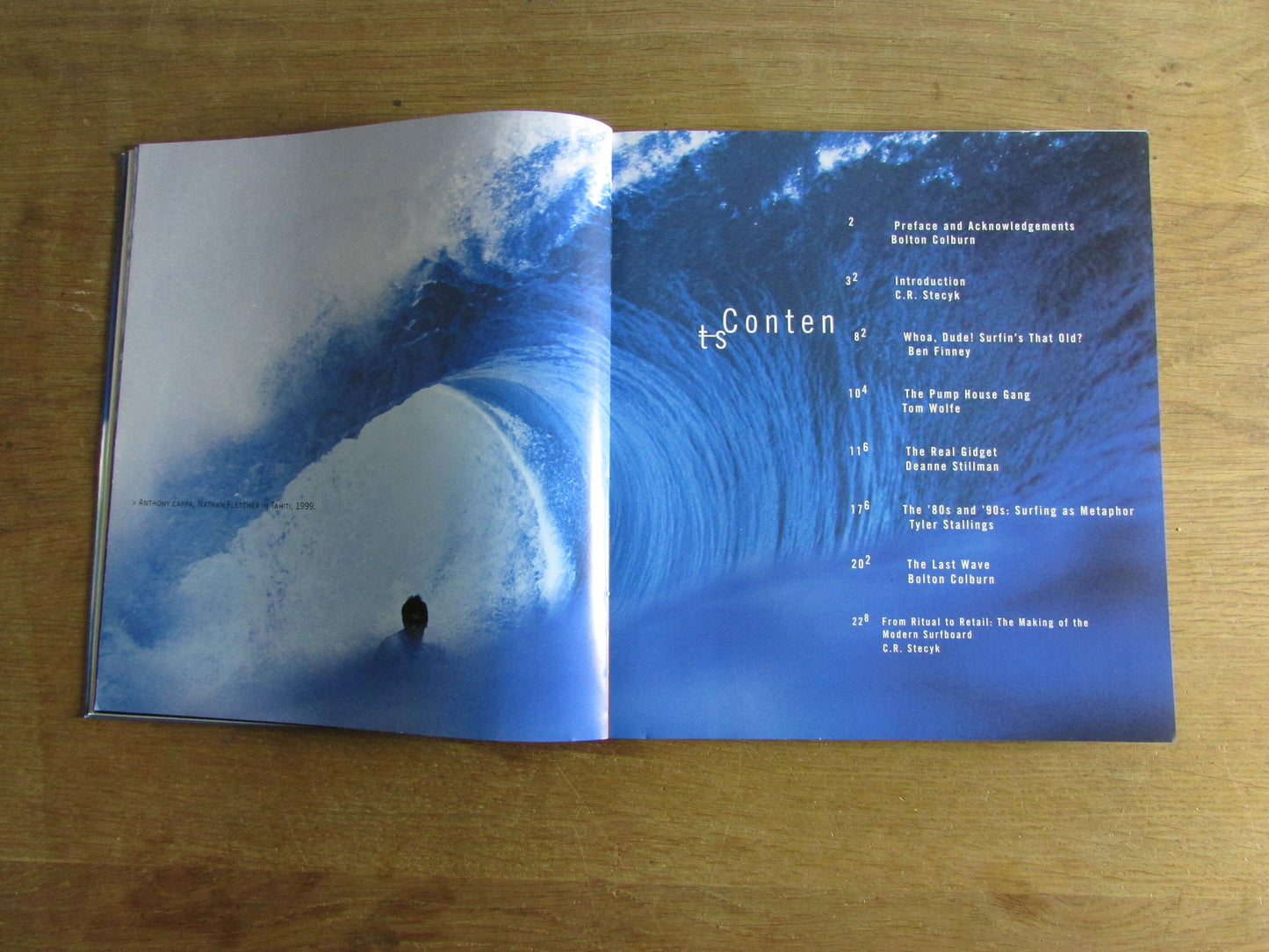 Surf Culture: The Art History of Surfing, by Craig Stecyk & David Carson (Softback, 2002)
