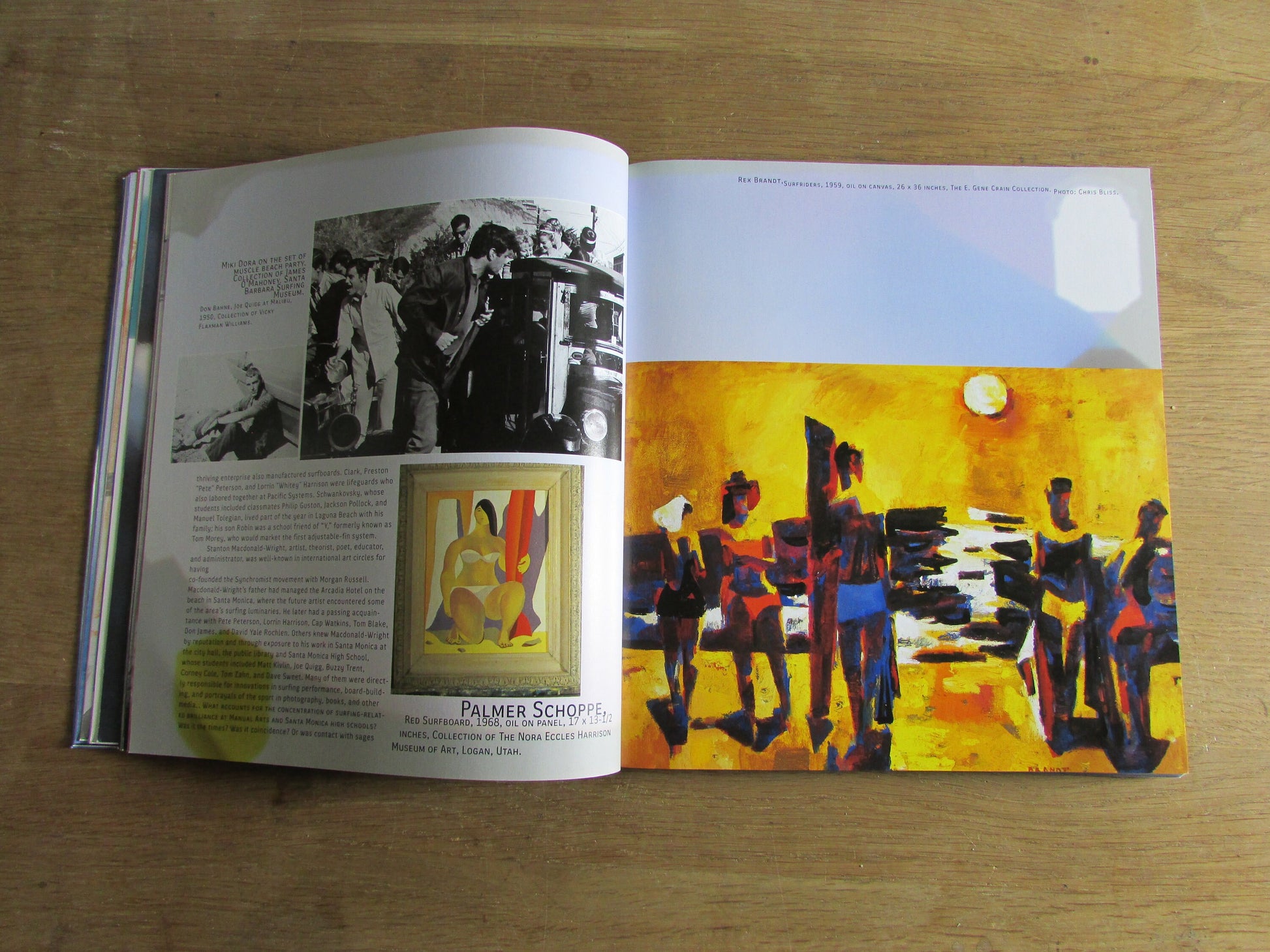 Surf Culture: The Art History of Surfing, by Craig Stecyk & David Carson (Softback, 2002)