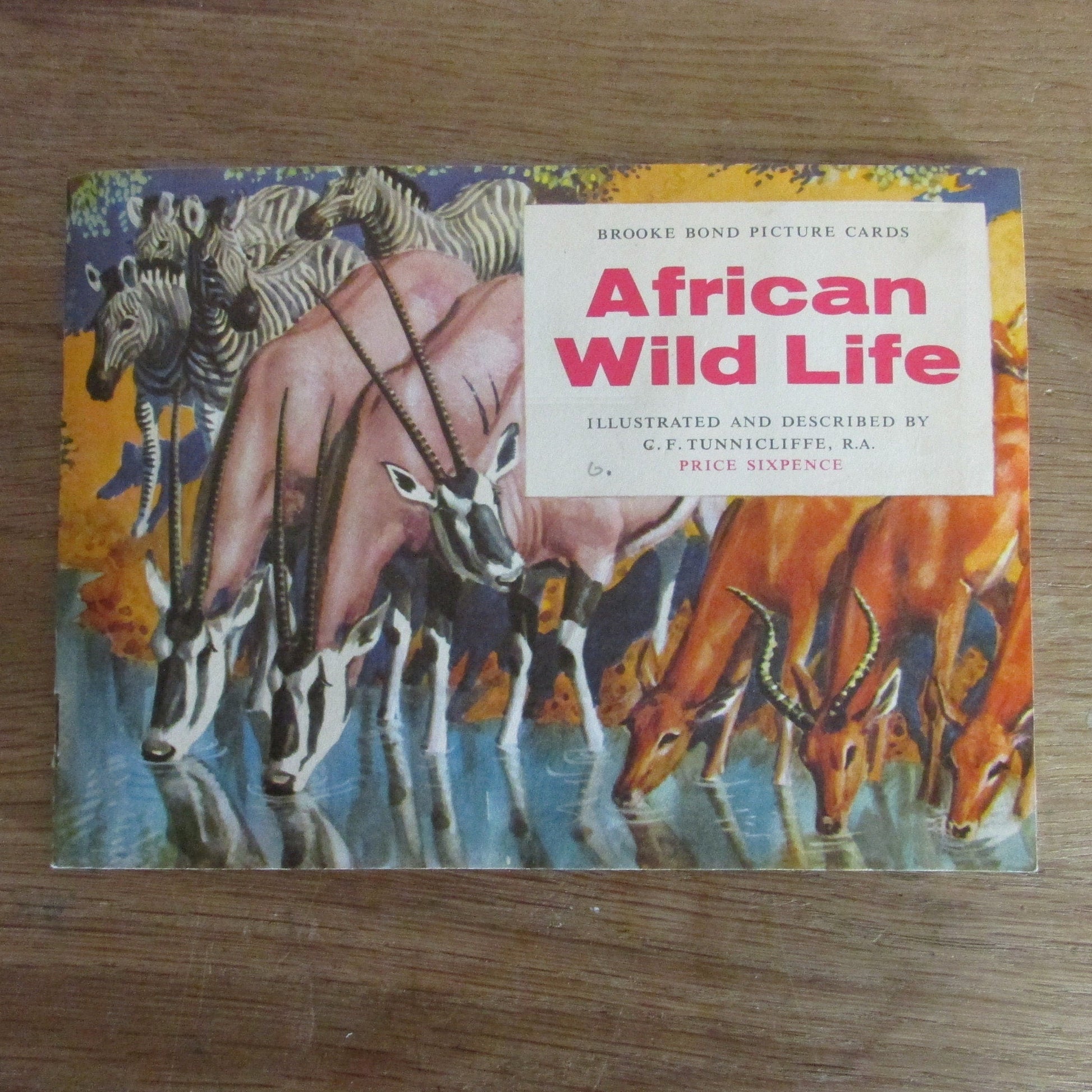 1962 Brooke Bond picture cards: African Wildlife, illustrated by C. F. Tunnicliffe