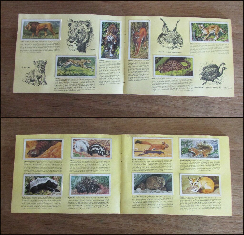 1962 Brooke Bond picture cards: African Wildlife, illustrated by C. F. Tunnicliffe