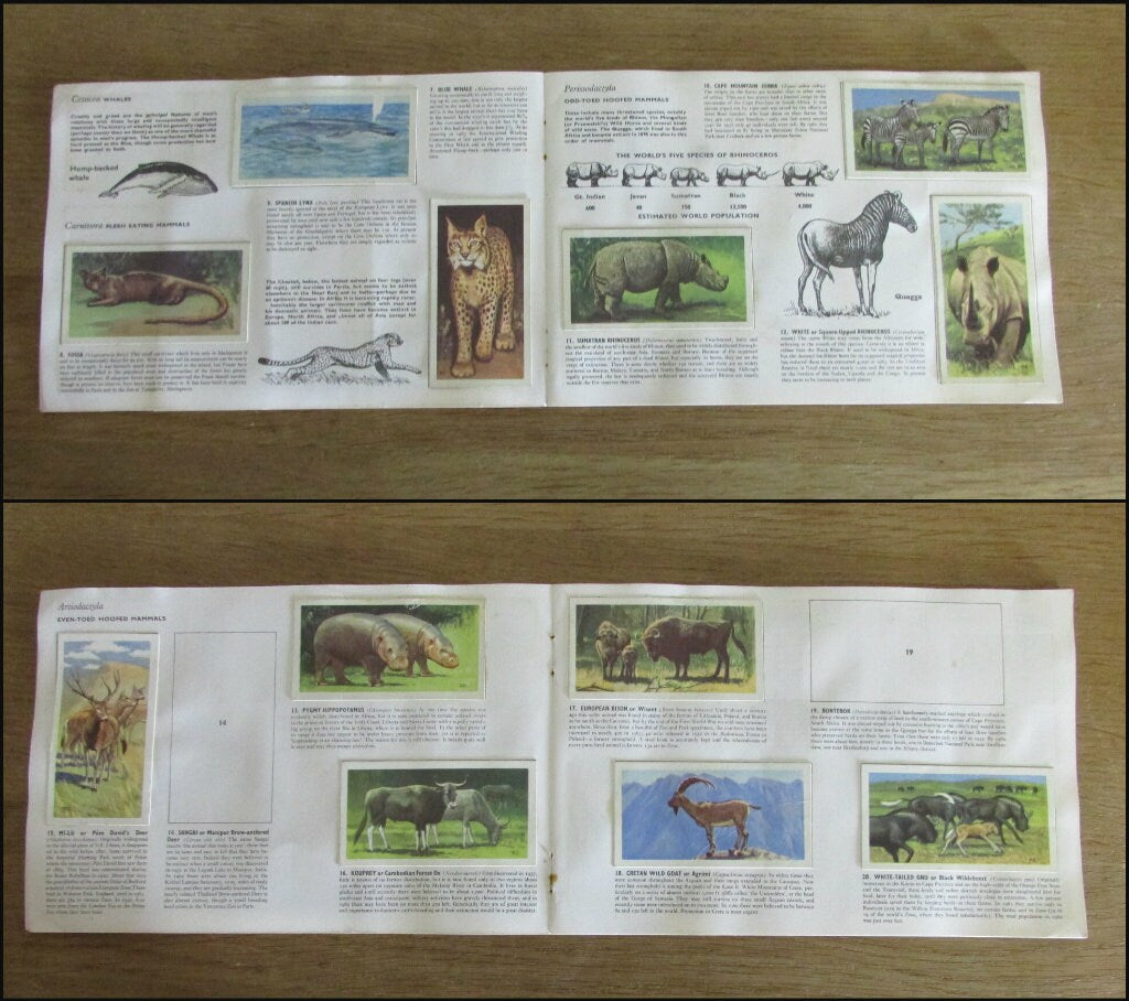 1960s Brooke Bond picture cards: Wildlife in Danger, by Peter Scott (incomplete)