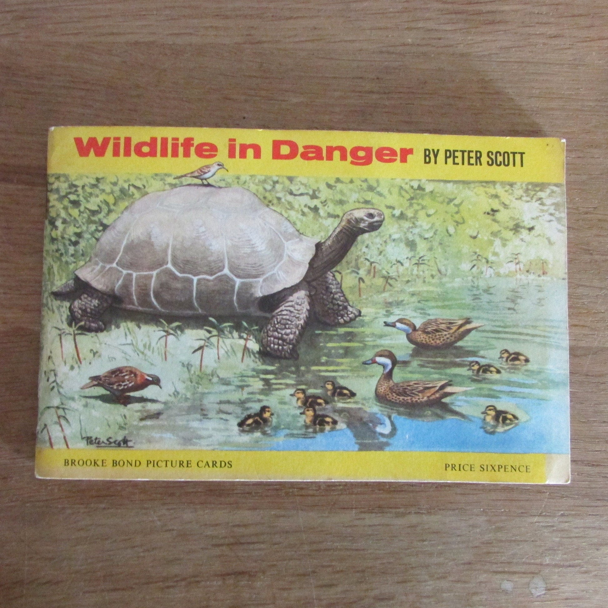 1960s Brooke Bond picture cards: Wildlife in Danger, by Peter Scott (incomplete)