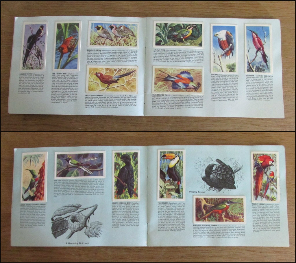 1961 Brooke Bond picture cards: Tropical Birds, illustrated by C. F. Tunnicliffe