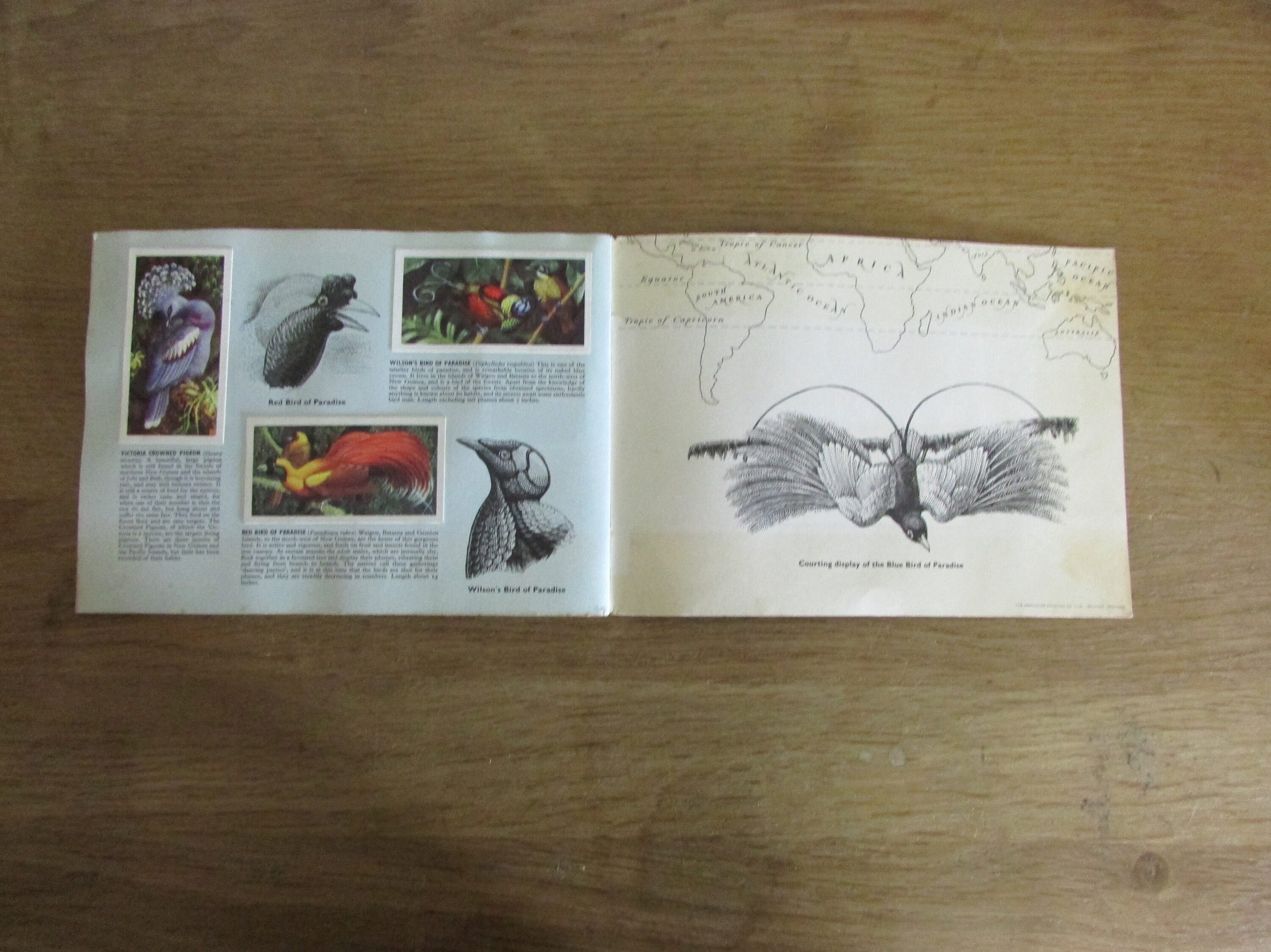 1961 Brooke Bond picture cards: Tropical Birds, illustrated by C. F. Tunnicliffe