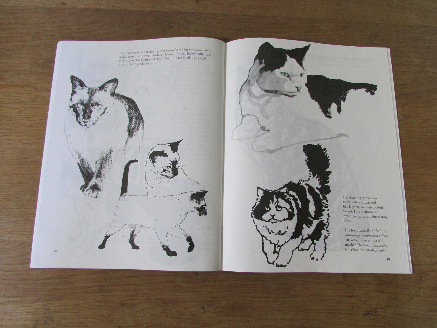 Draw Cats, by David Brown (Softback, 1985)