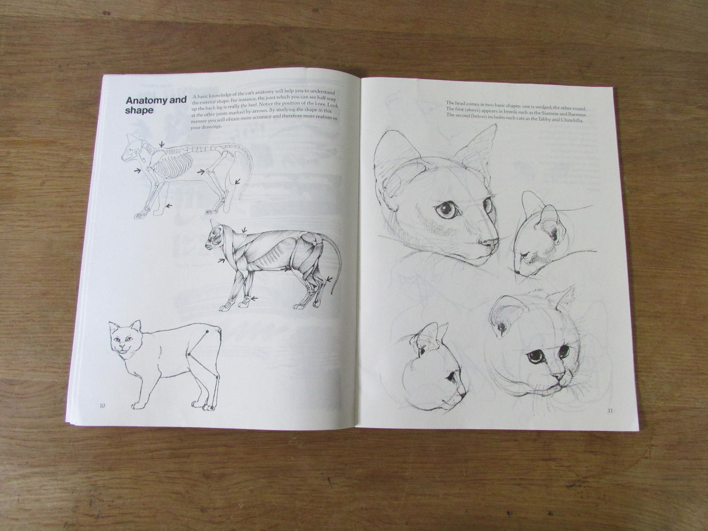 Draw Cats, by David Brown (Softback, 1985)