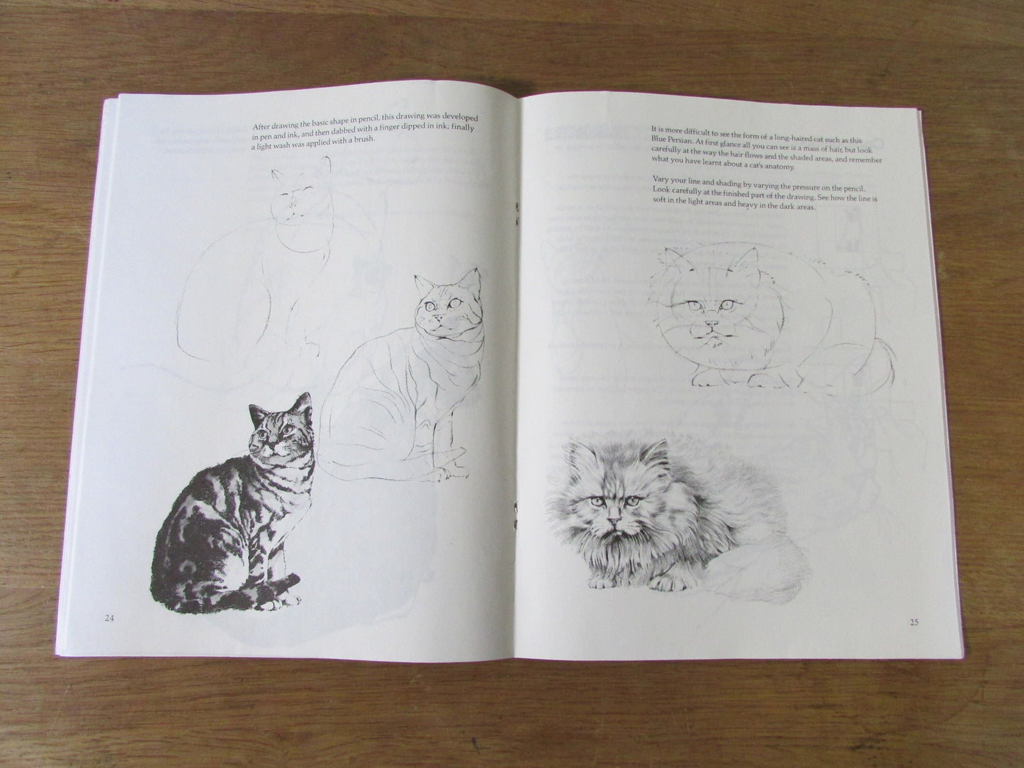 Draw Cats, by David Brown (Softback, 1985)