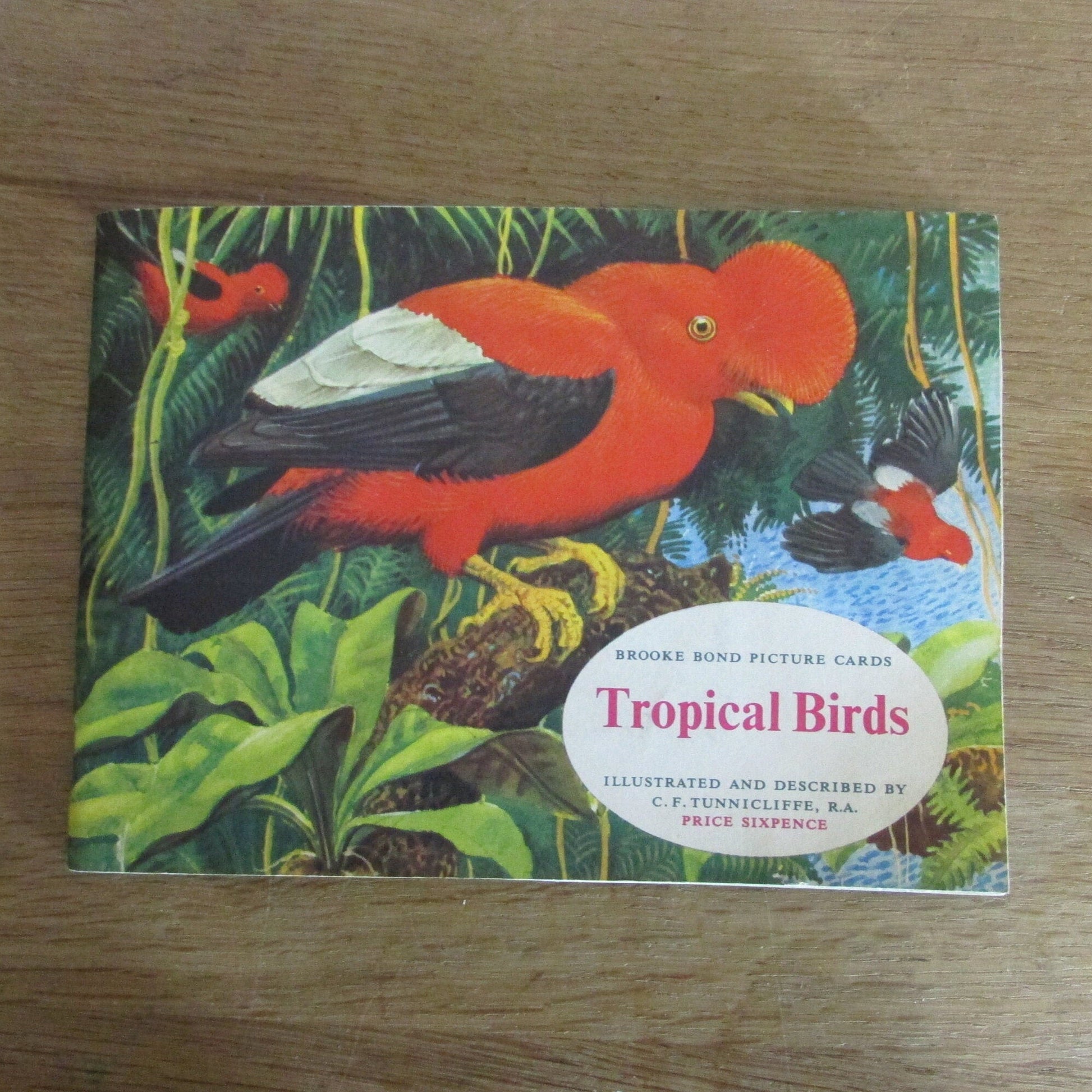 1961 Brooke Bond picture cards: Tropical Birds, illustrated by C. F. Tunnicliffe