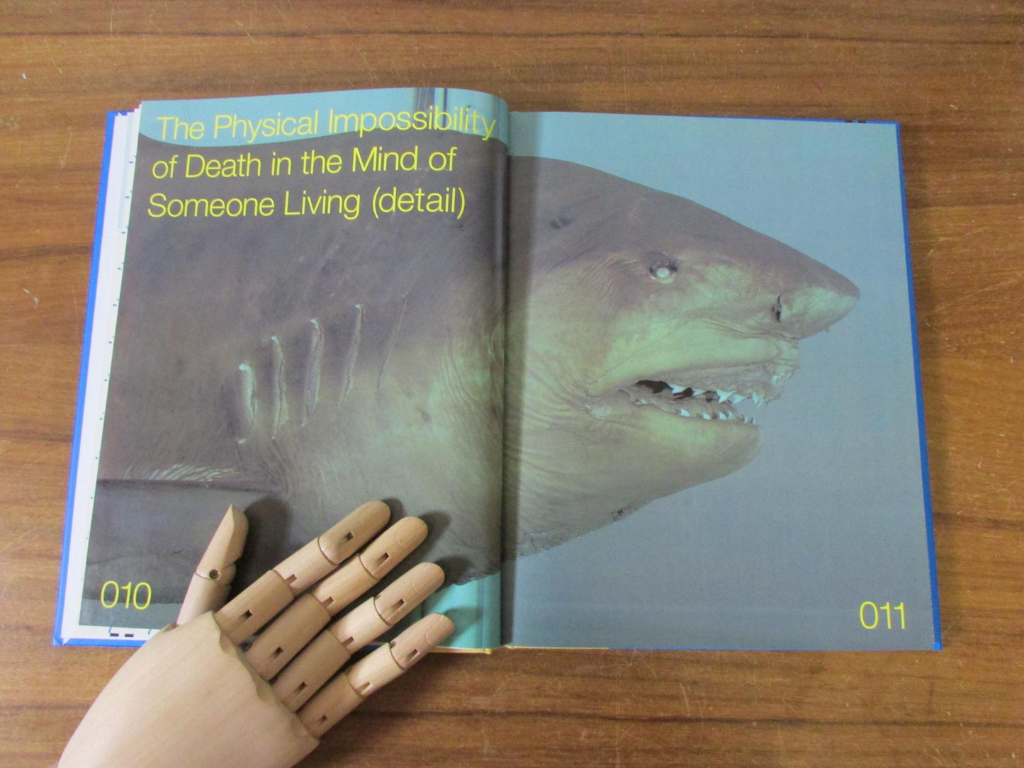 Damien Hirst; 200mg Amiodarone Hydrochloride FR.P 28 tablets - pictures from the Saatchi Gallery (Hardback, 2001)