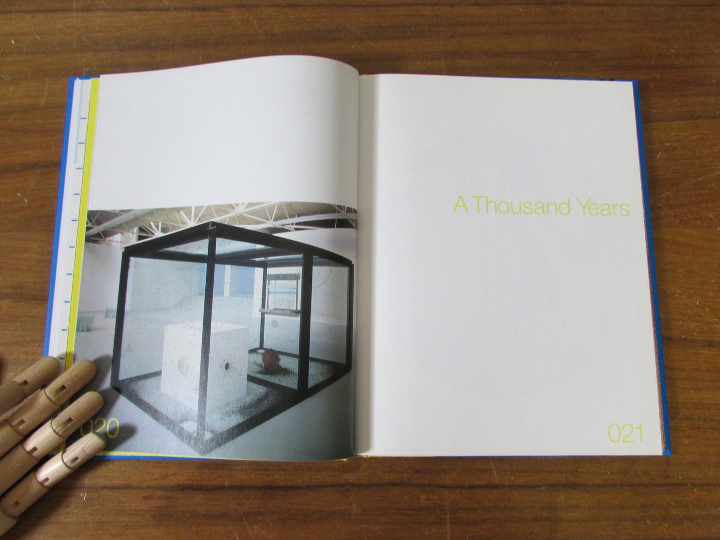 Damien Hirst; 200mg Amiodarone Hydrochloride FR.P 28 tablets - pictures from the Saatchi Gallery (Hardback, 2001)