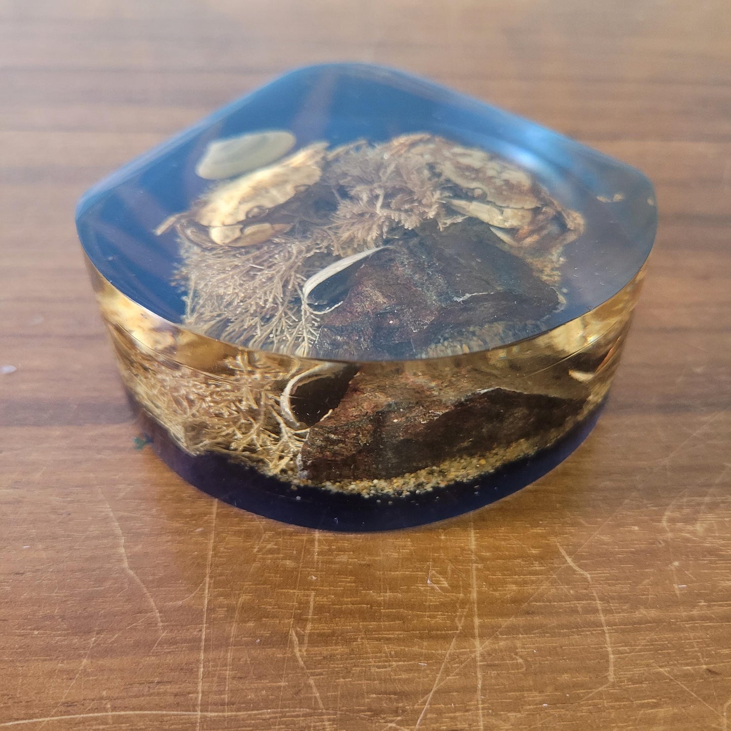 1970s 'seashore' filled resin paperweight