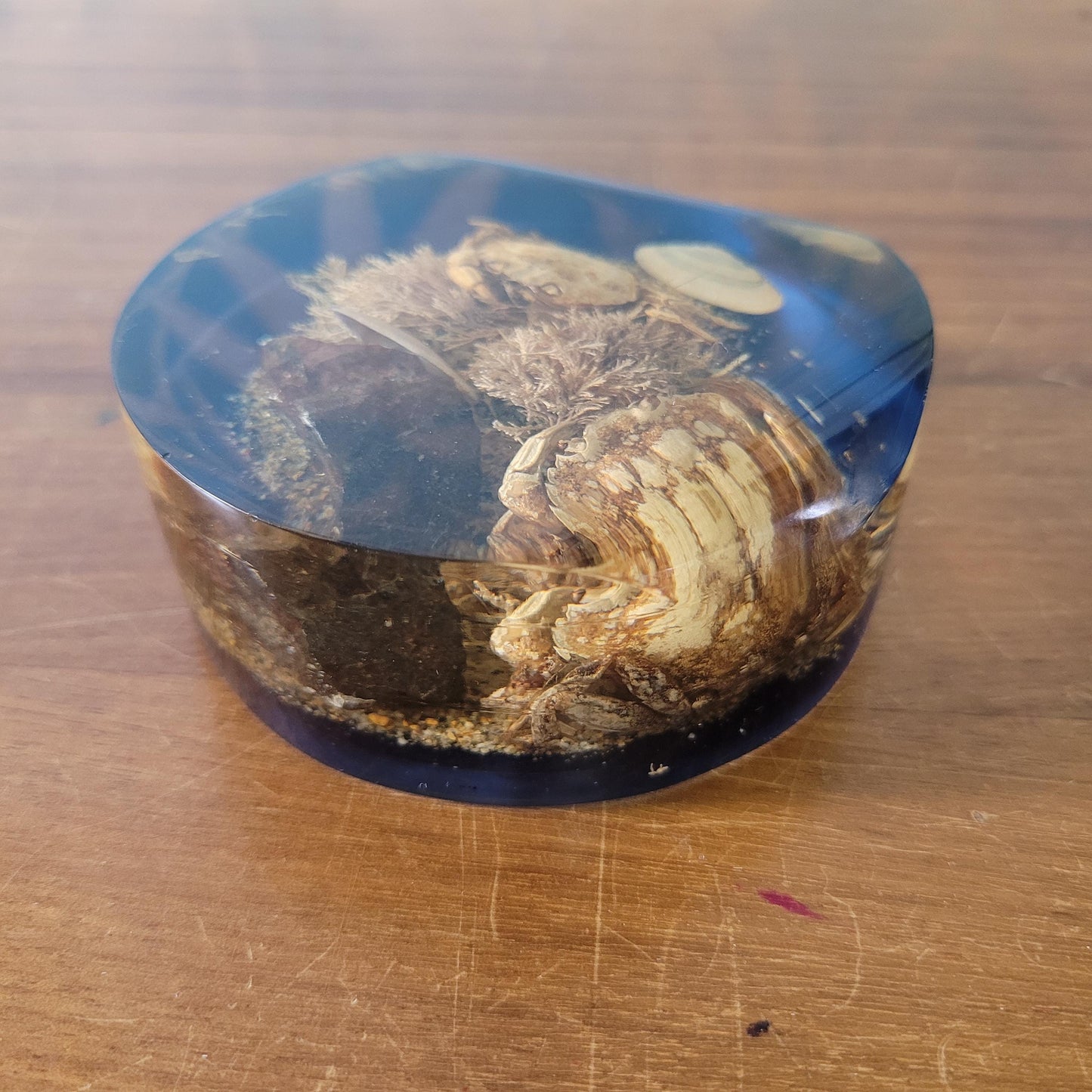 1970s 'seashore' filled resin paperweight