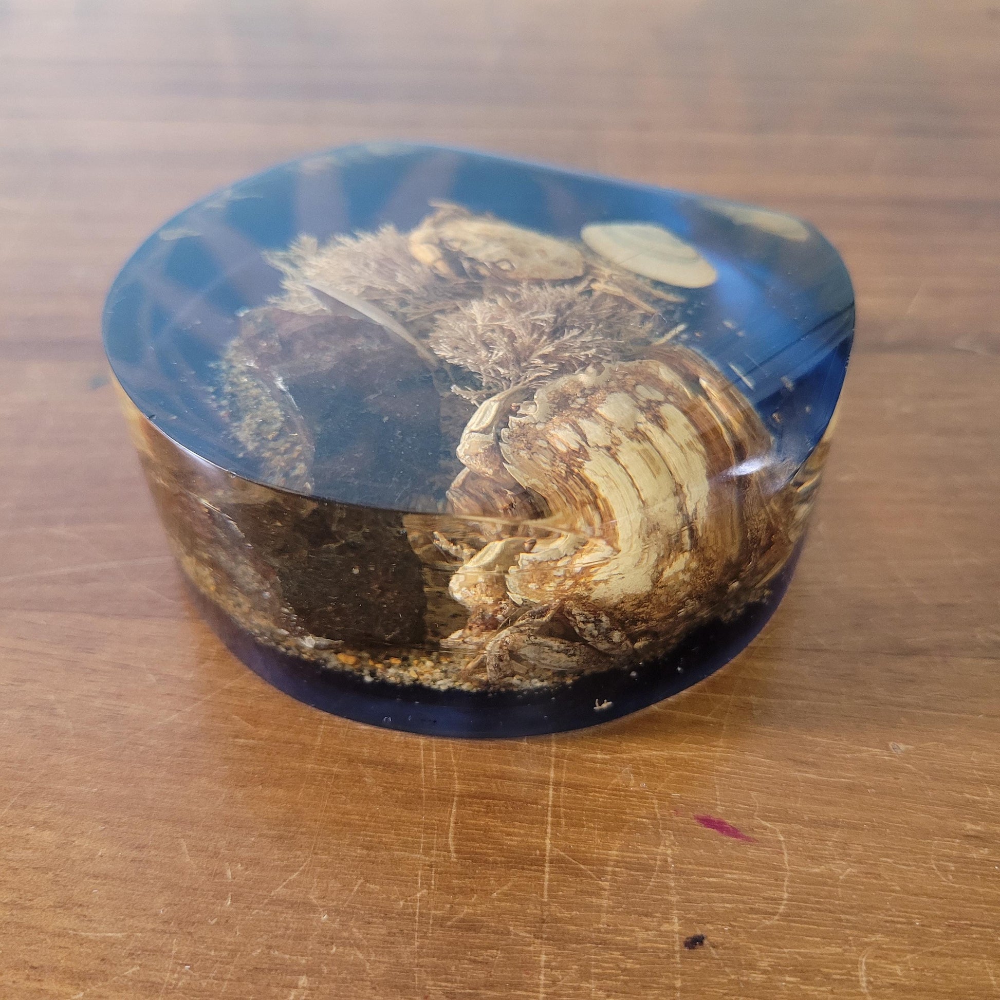 1970s 'seashore' filled resin paperweight